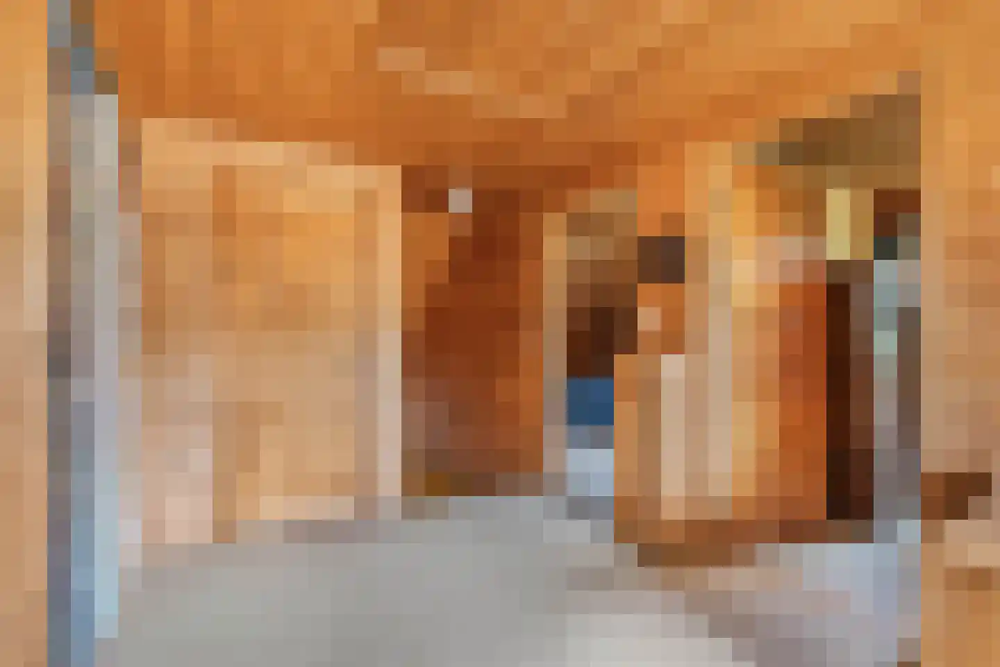 Achterveld 4 Tuk thumbnail 30