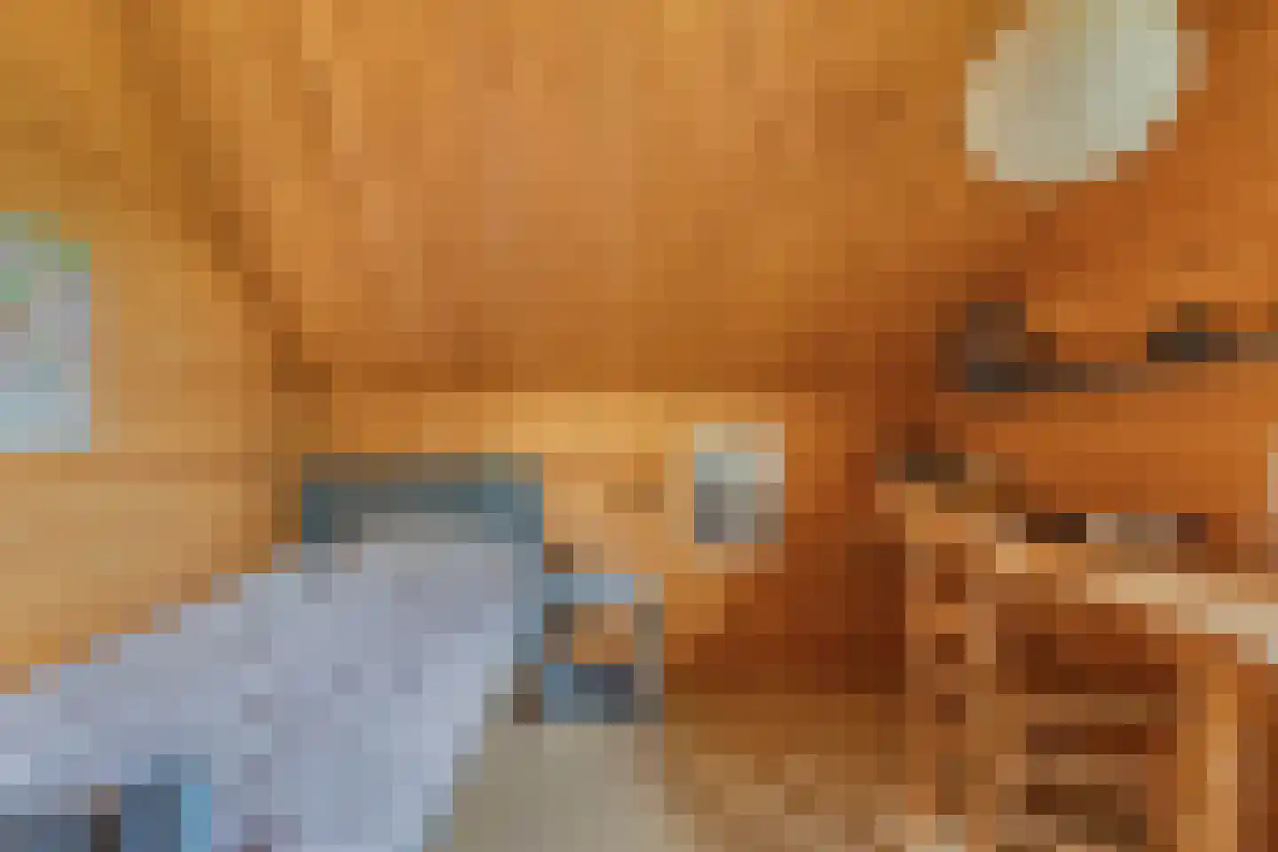 Achterveld 4 Tuk thumbnail 32