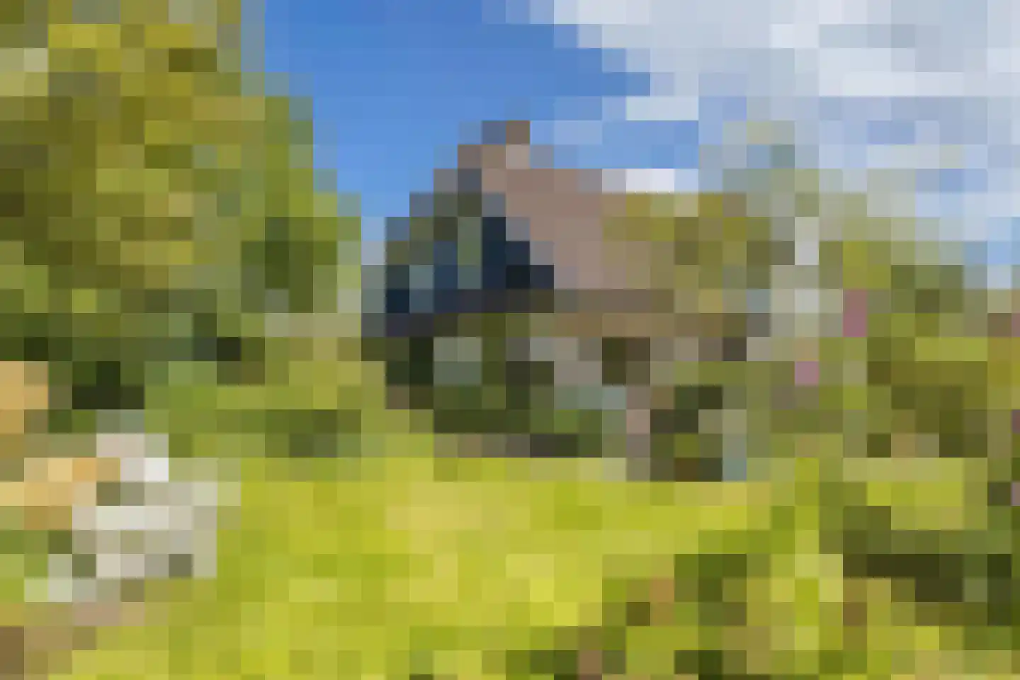 Achterveld 4 Tuk thumbnail 34