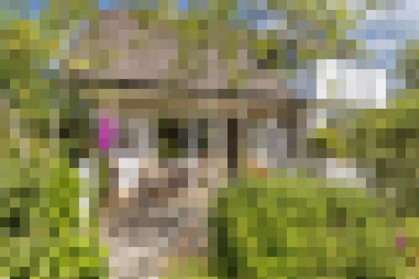 Achterveld 4 Tuk thumbnail 35