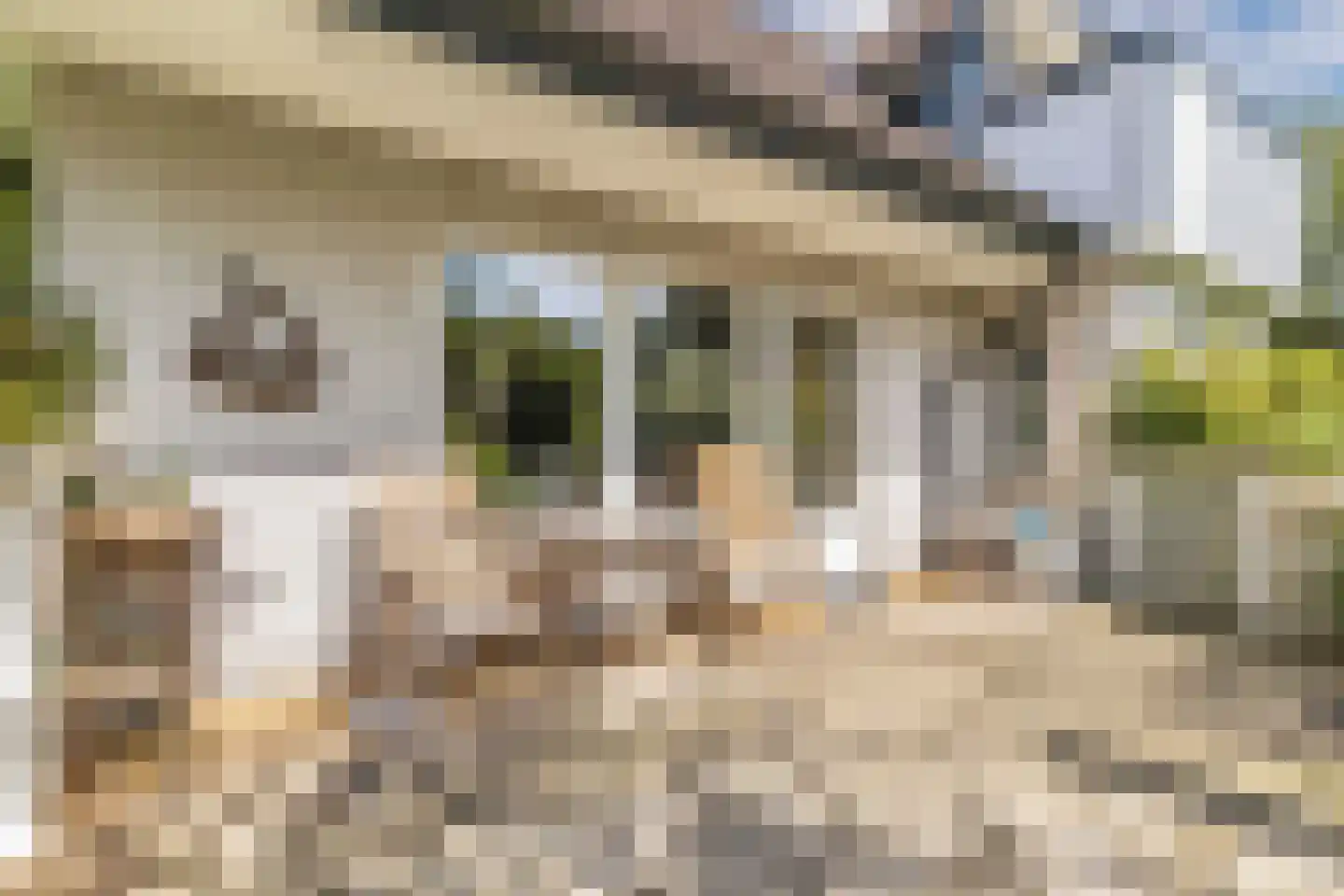 Achterveld 4 Tuk thumbnail 36