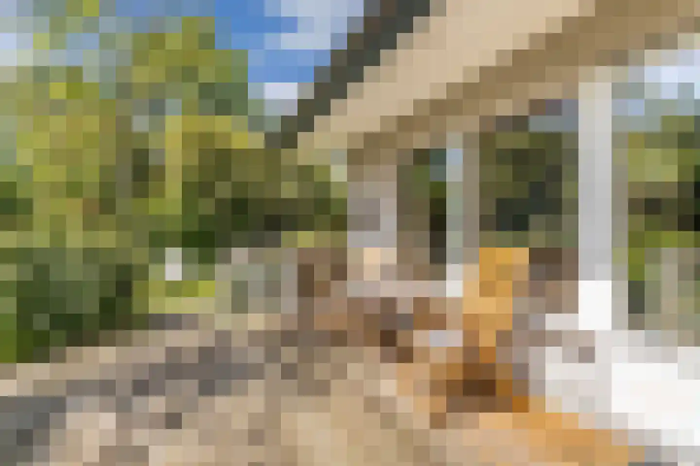 Achterveld 4 Tuk thumbnail 37
