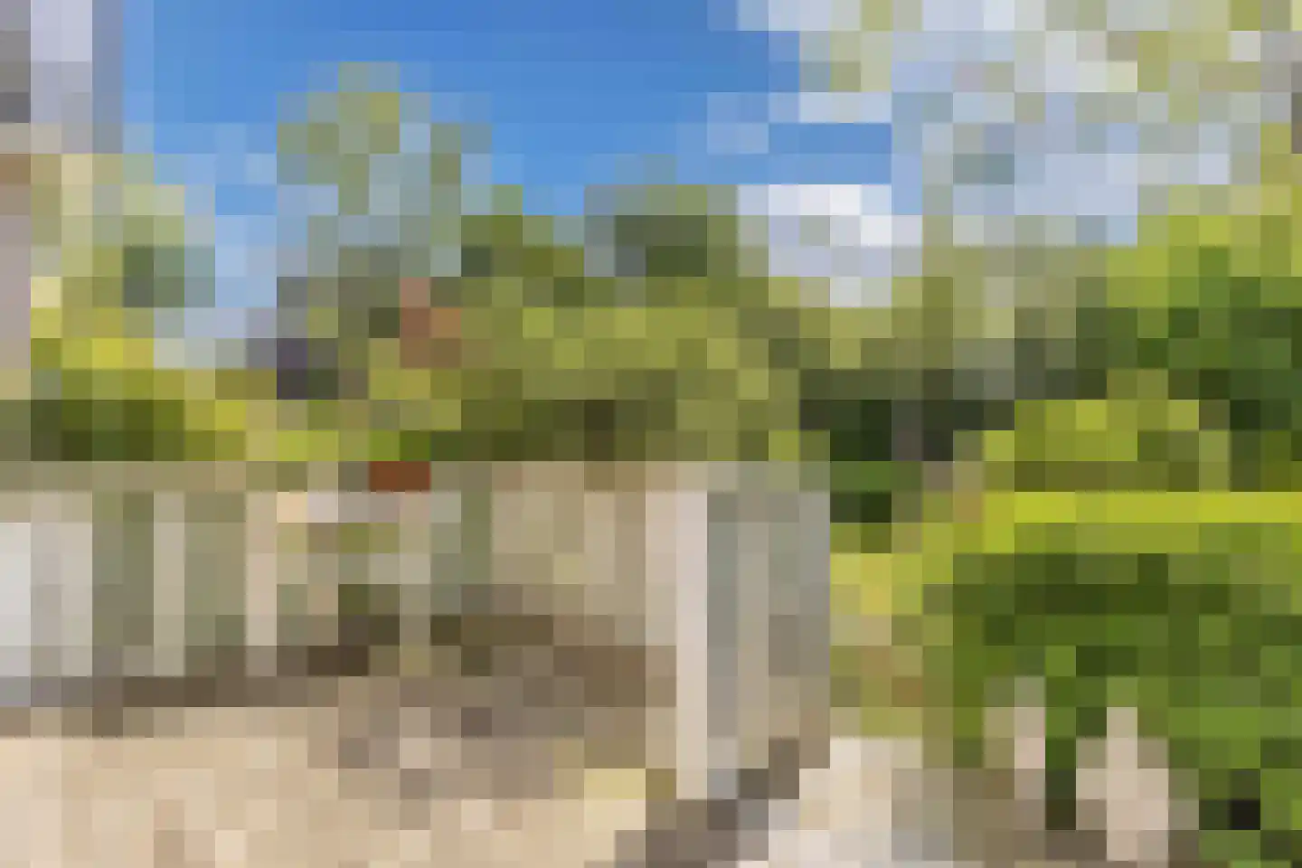 Achterveld 4 Tuk thumbnail 38