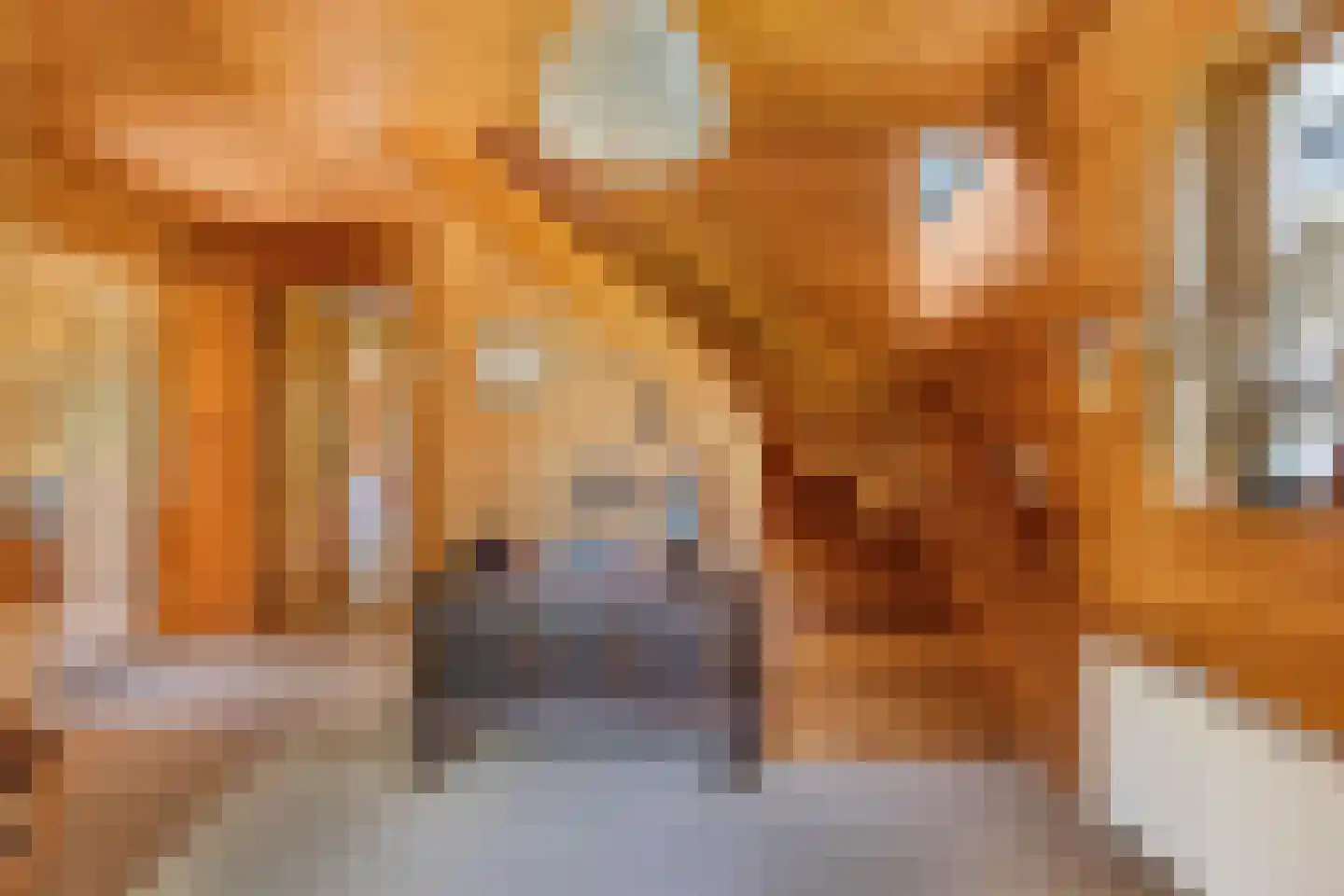 Achterveld 4 Tuk thumbnail 4