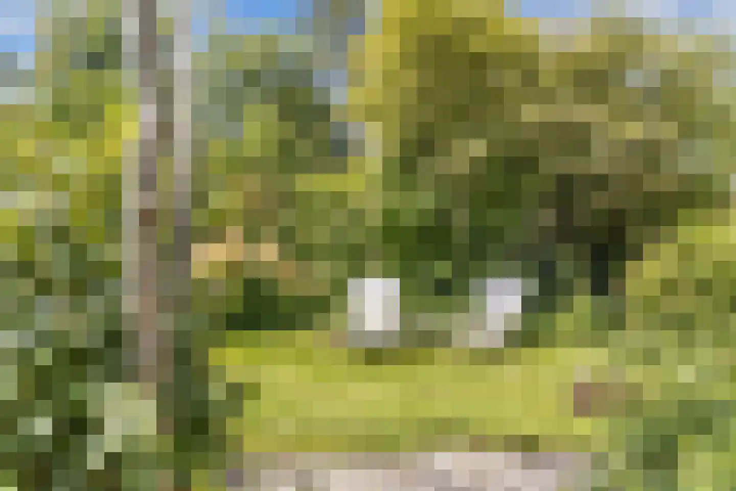 Achterveld 4 Tuk thumbnail 40