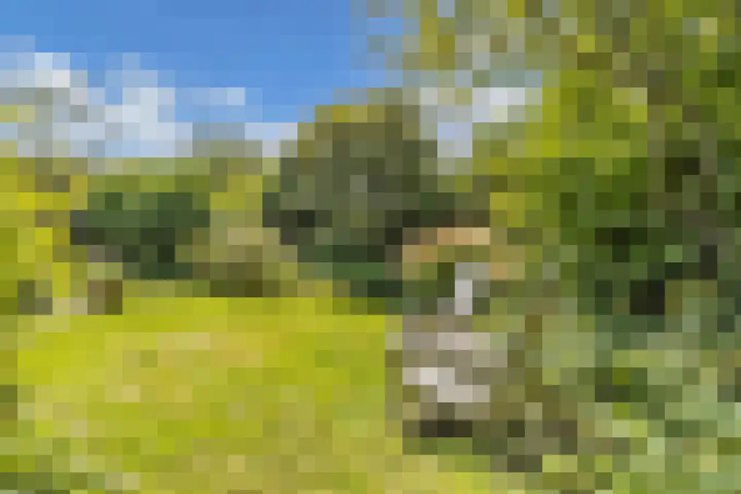 Achterveld 4 Tuk thumbnail 41