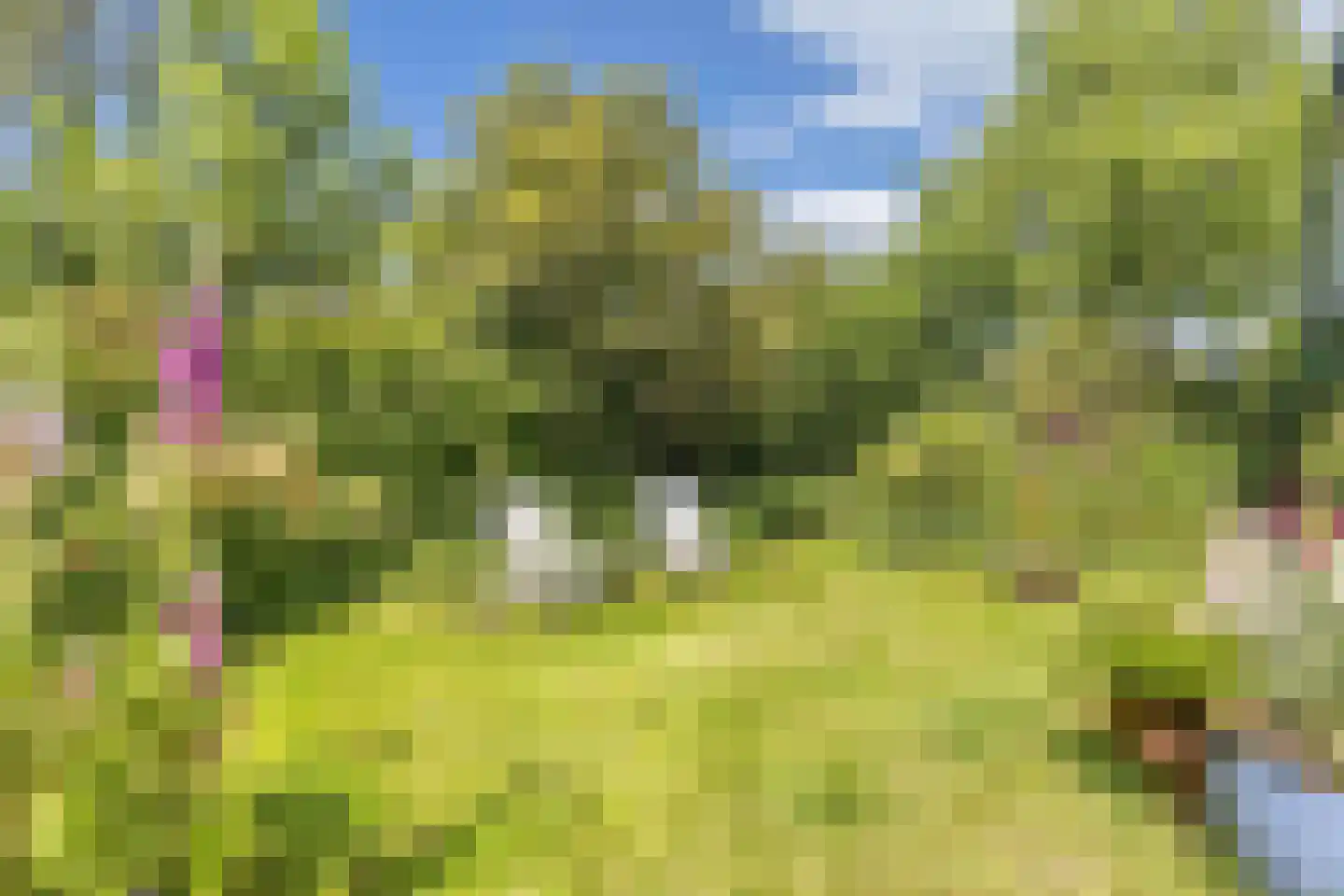 Achterveld 4 Tuk thumbnail 42