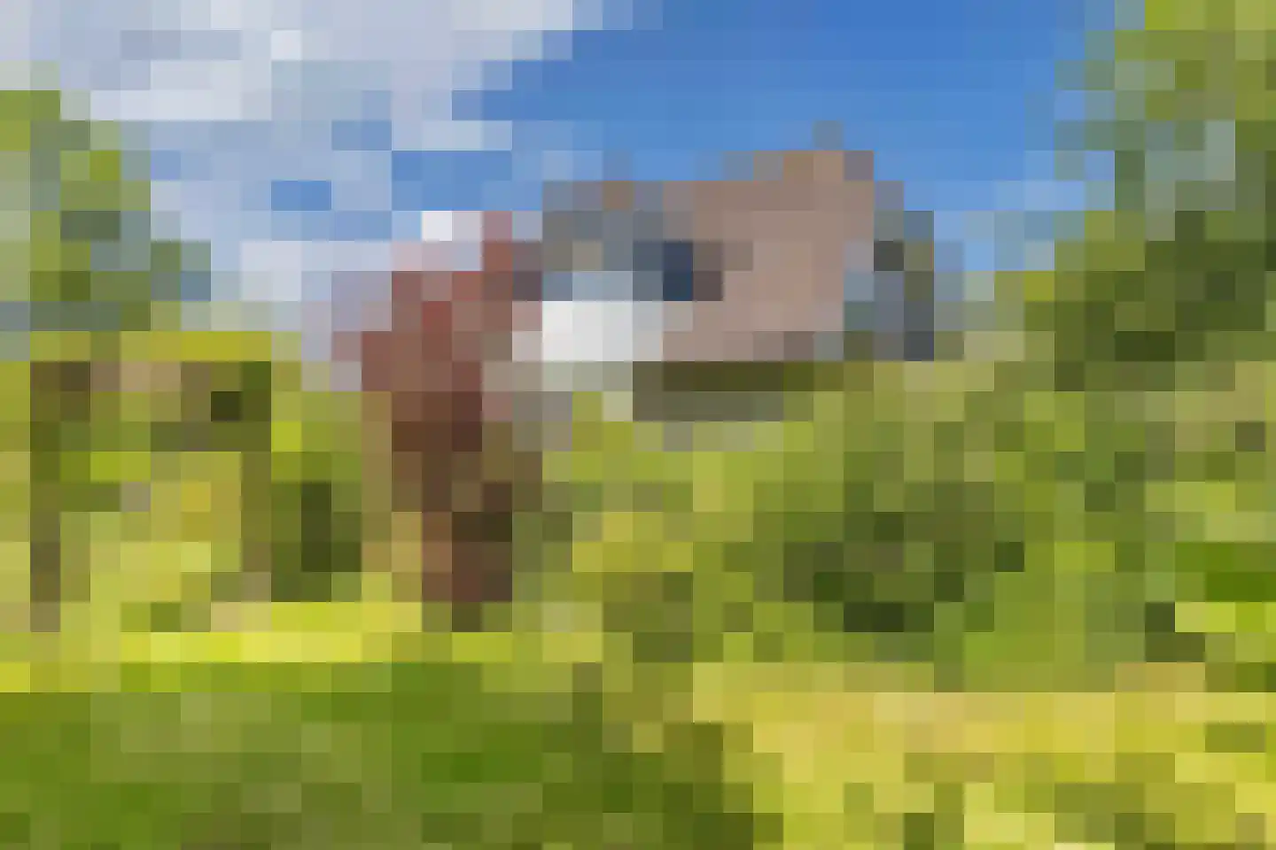 Achterveld 4 Tuk thumbnail 43