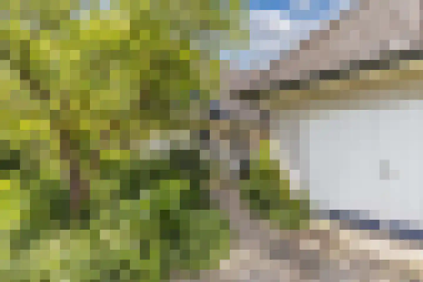 Achterveld 4 Tuk thumbnail 44