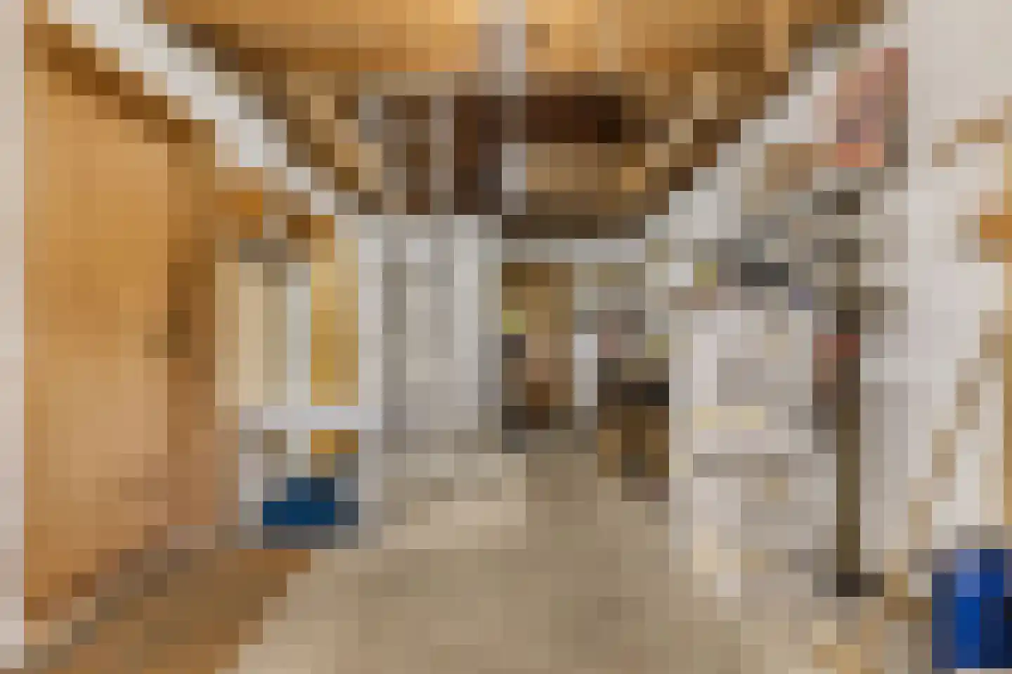 Achterveld 4 Tuk thumbnail 45