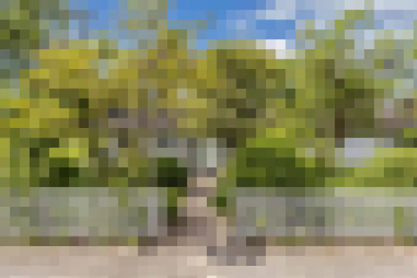 Achterveld 4 Tuk thumbnail 48
