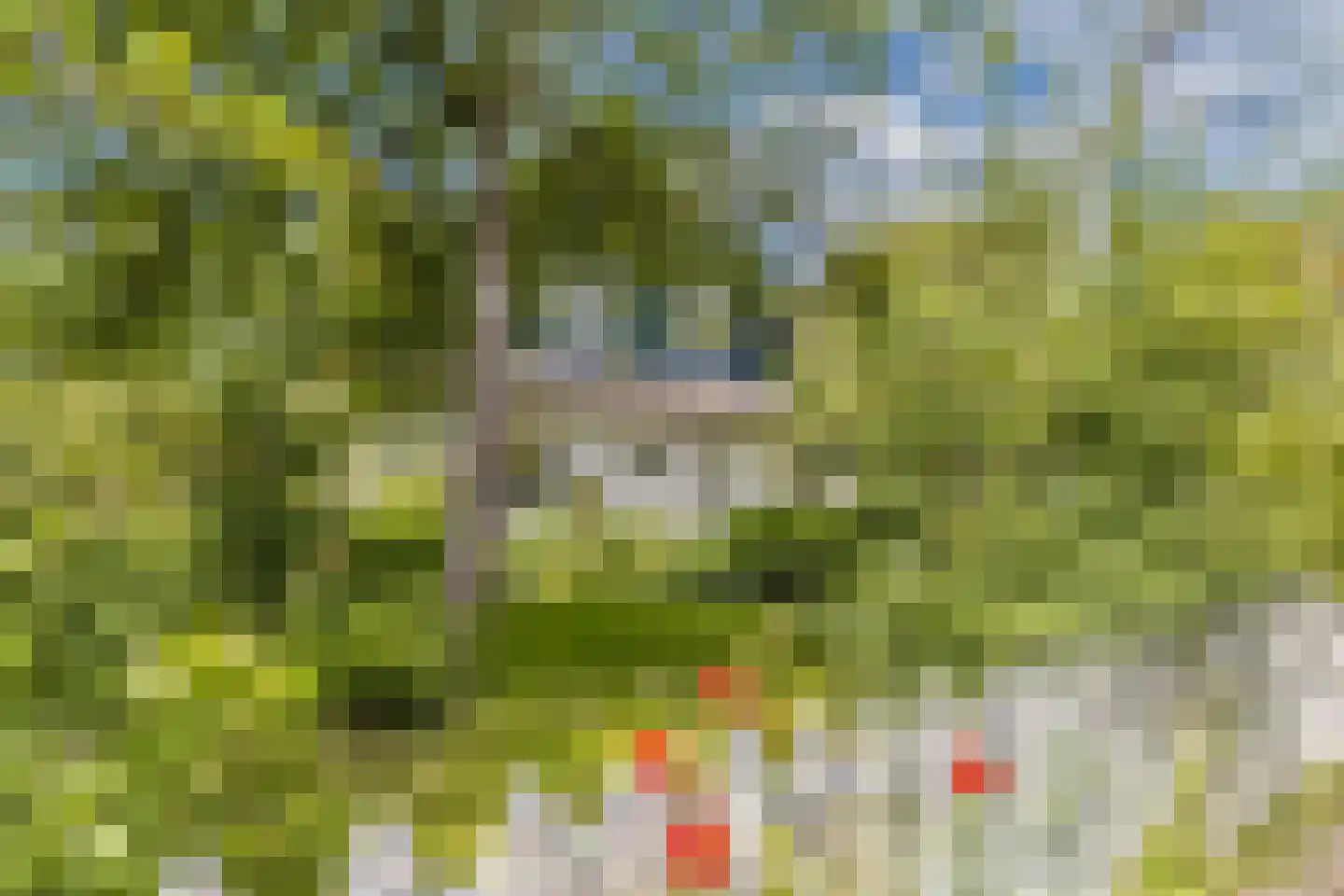 Achterveld 4 Tuk thumbnail 49