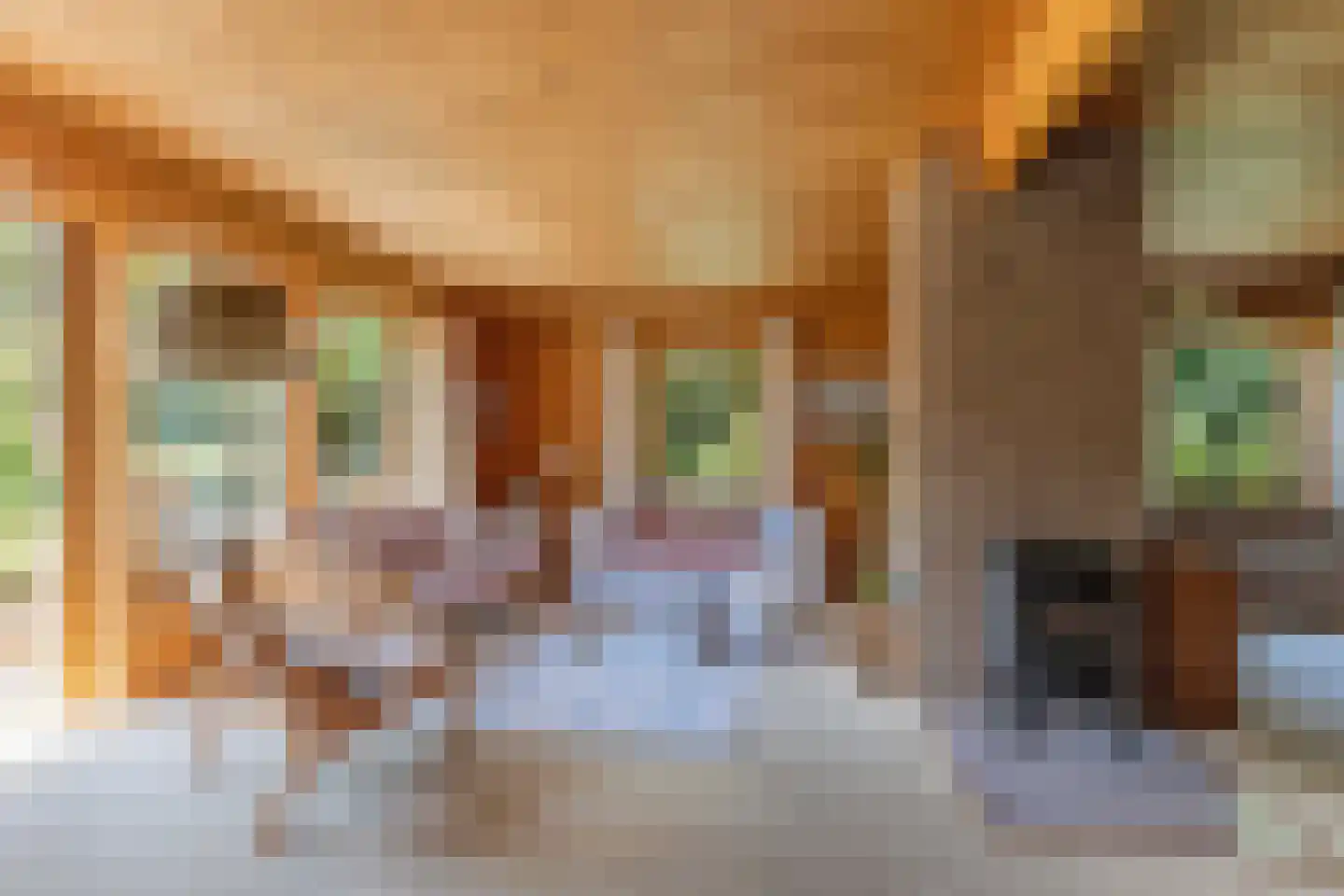 Achterveld 4 Tuk thumbnail 5