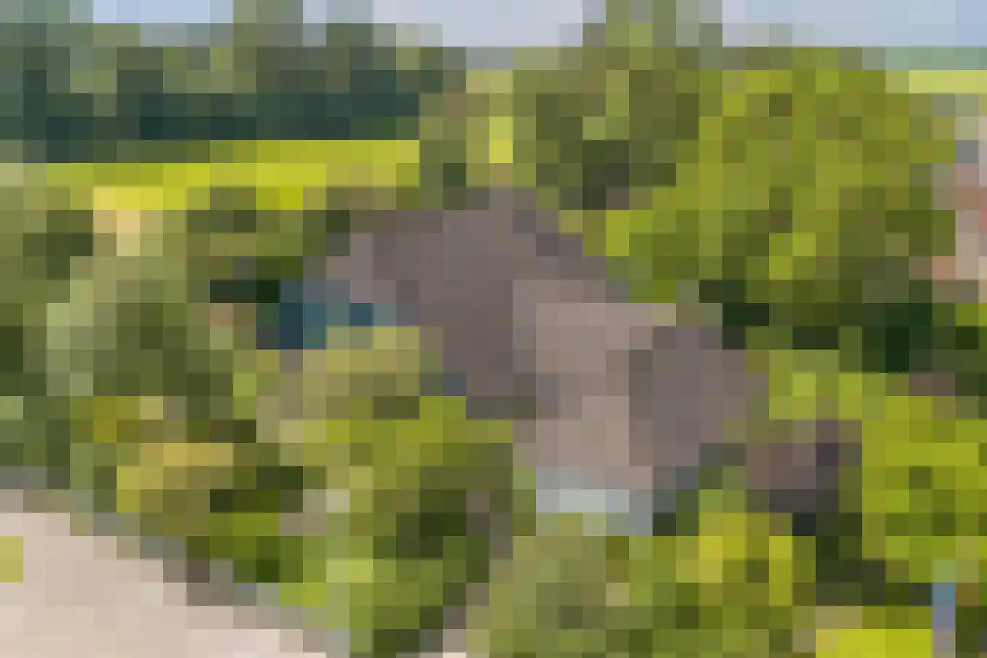 Achterveld 4 Tuk thumbnail 50