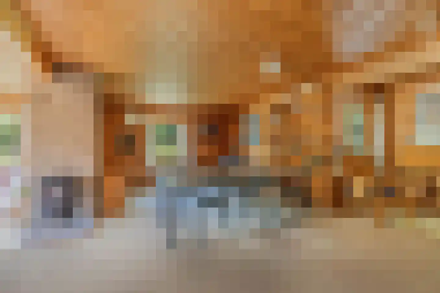 Achterveld 4 Tuk thumbnail 8