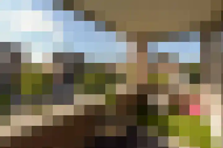 Achterveld 43 Vinkeveen thumbnail 17