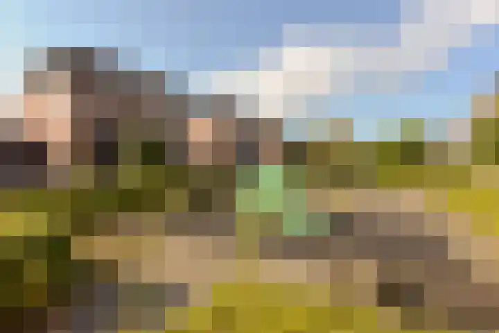 Achterveld 43 Vinkeveen thumbnail 26