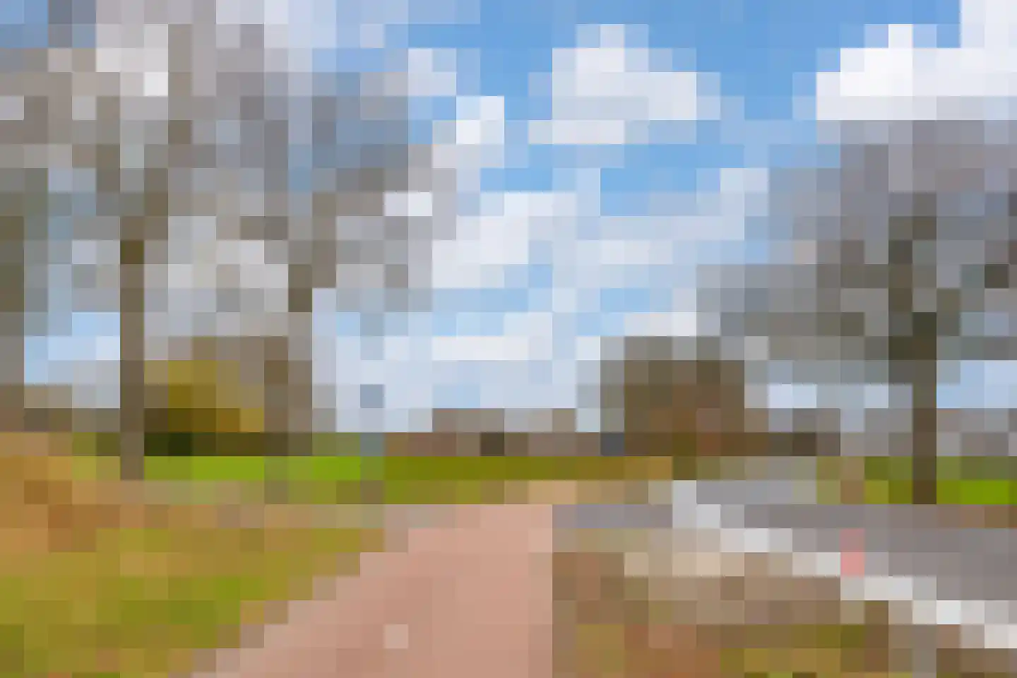 Achterveldseweg 39 A Achterveld thumbnail 38