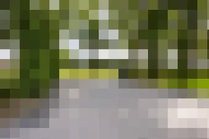 Achterveldseweg 39 C Achterveld thumbnail 6