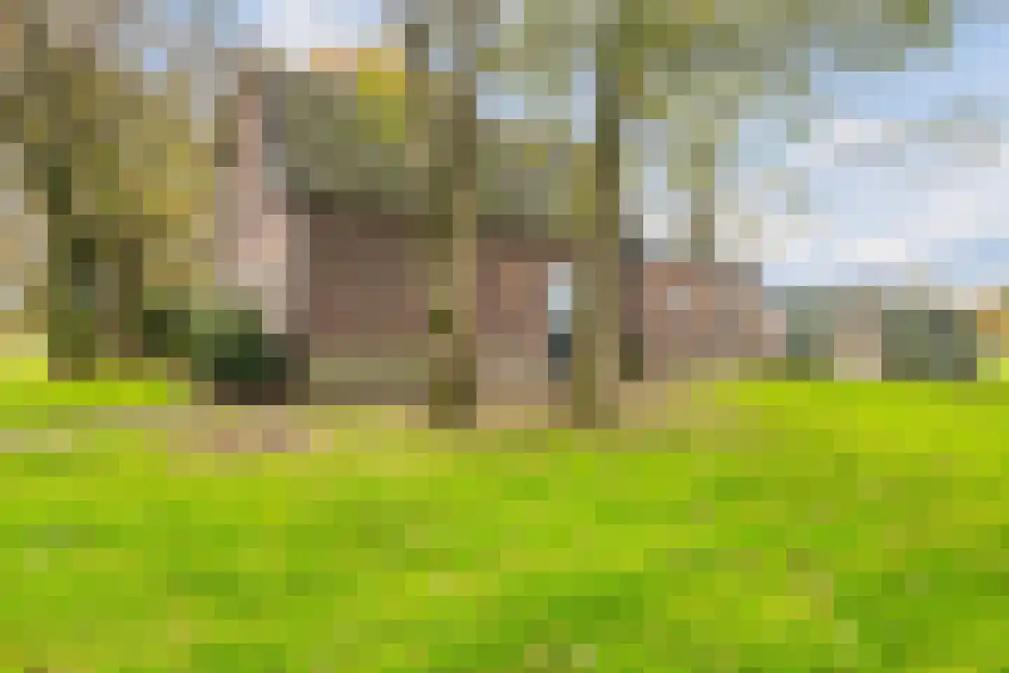 Achterveldseweg 40 Achterveld thumbnail 6