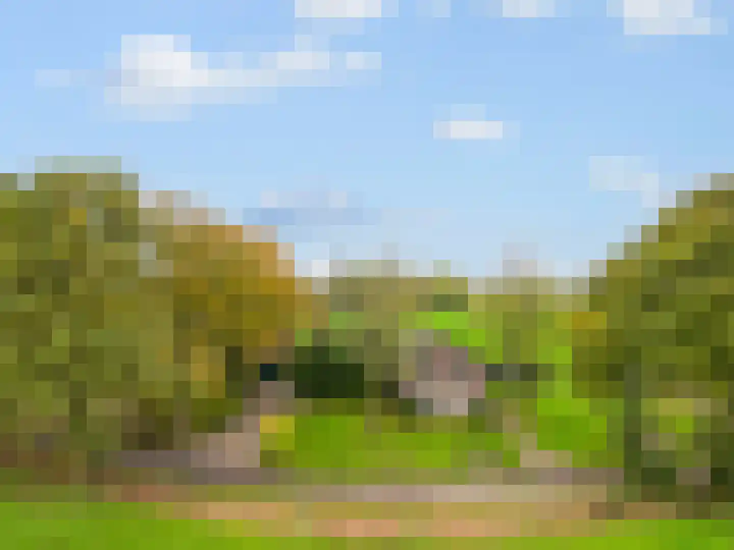 Achterveldseweg 40 Achterveld thumbnail 7