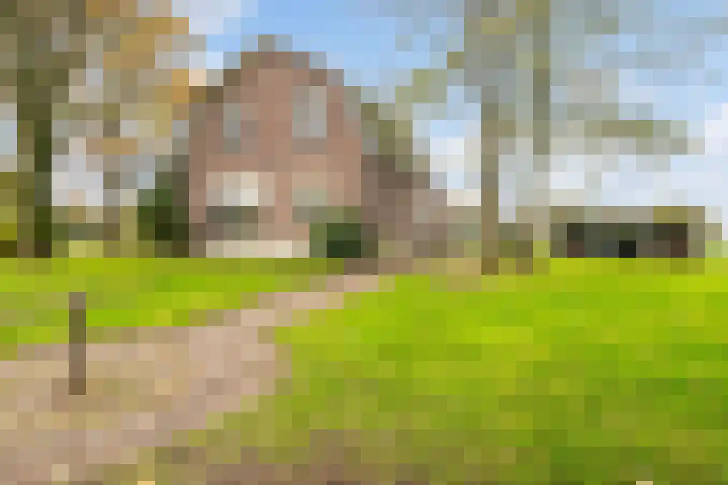 Achterveldseweg 40 Achterveld thumbnail 8