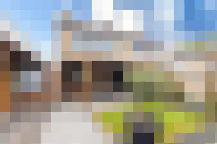 Achtervliet 12 Werkendam thumbnail 40