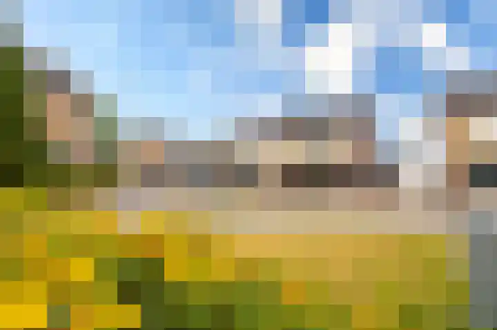 Achtervliet 12 Werkendam thumbnail 8