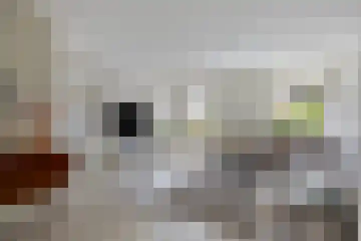 Achterweem 12 Valburg thumbnail 13