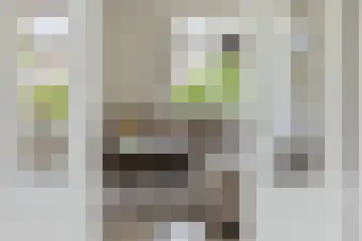 Achterweem 12 Valburg thumbnail 16