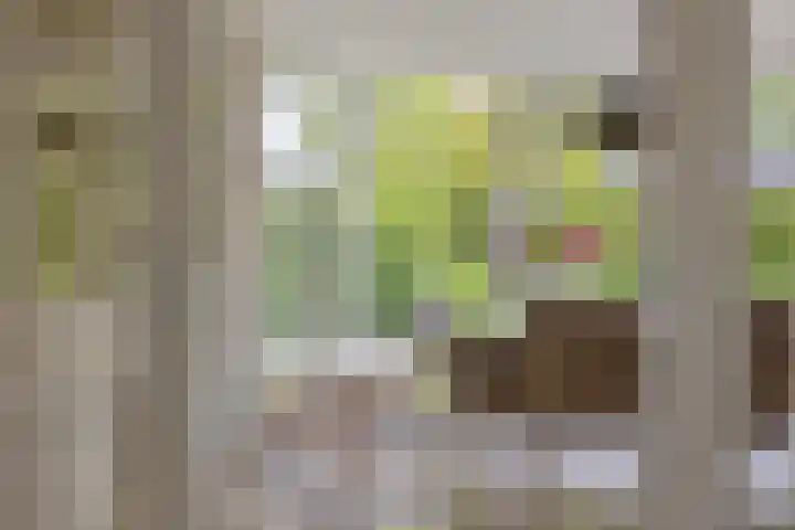 Achterweem 12 Valburg thumbnail 18