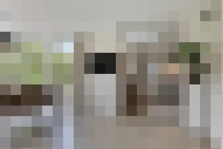 Achterweem 12 Valburg thumbnail 20