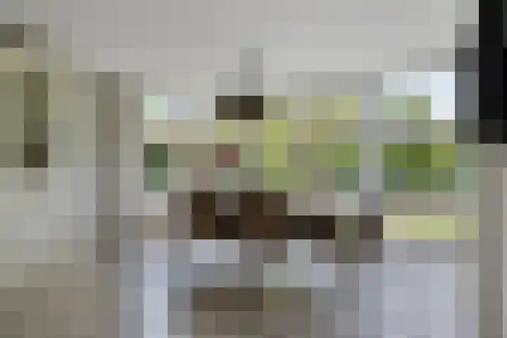 Achterweem 12 Valburg thumbnail 21