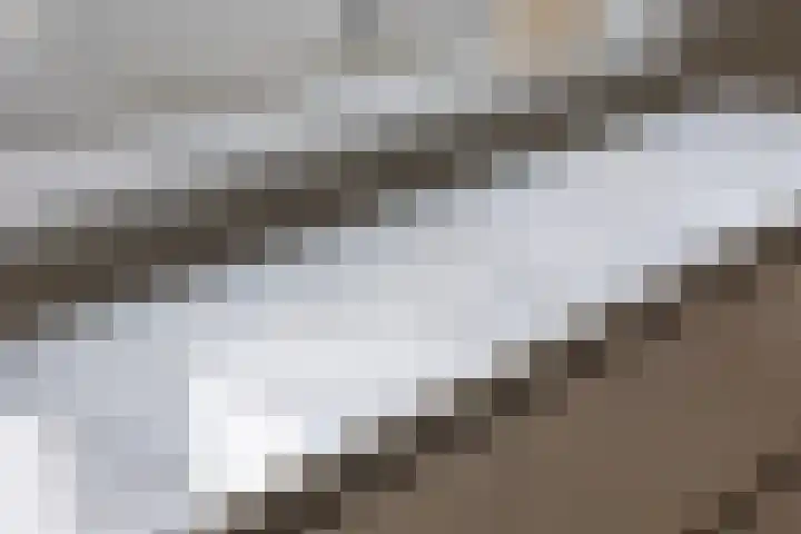Achterweem 12 Valburg thumbnail 28