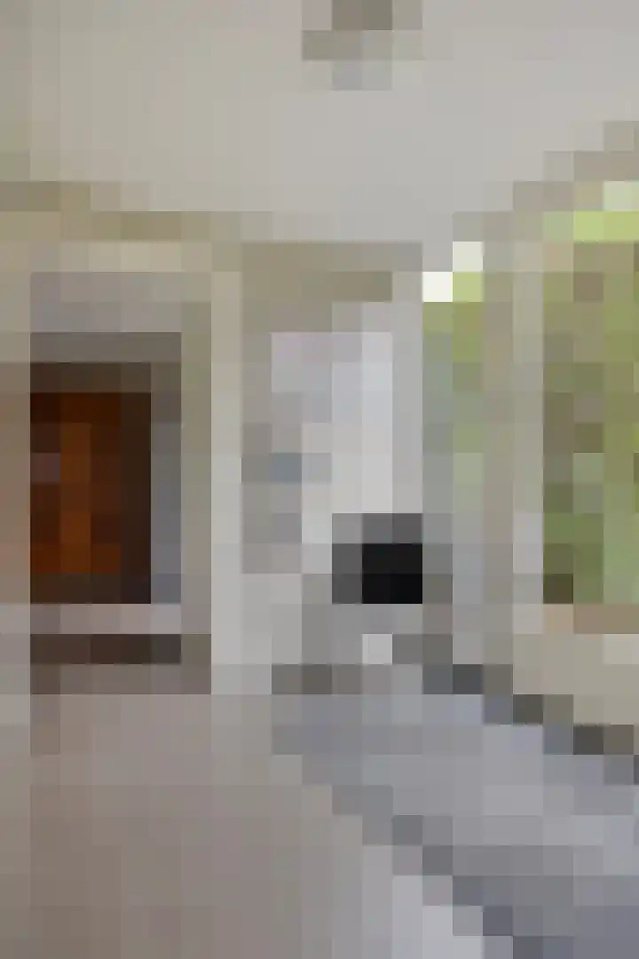 Achterweem 12 Valburg thumbnail 31