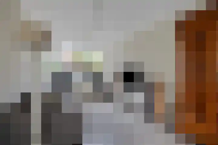Achterweem 12 Valburg thumbnail 36