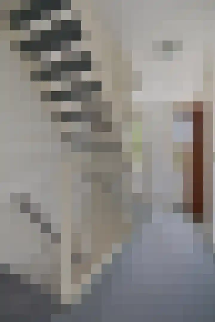 Achterweem 12 Valburg thumbnail 38