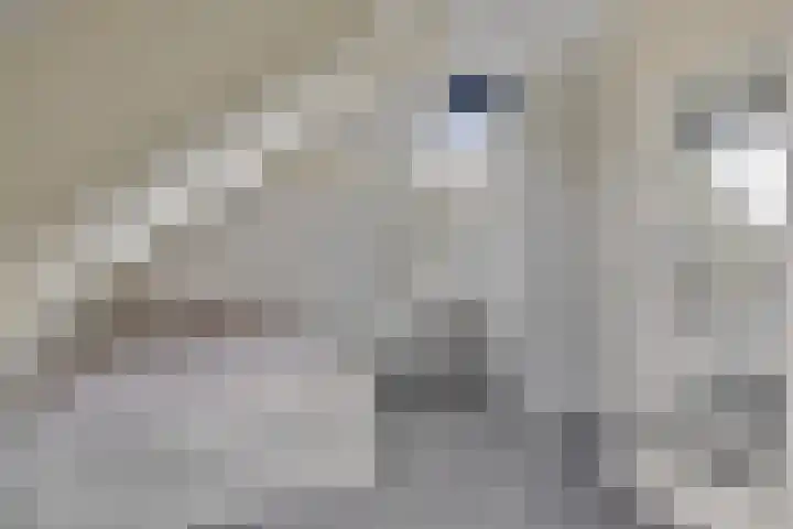 Achterweem 12 Valburg thumbnail 46