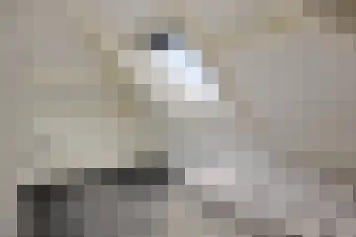 Achterweem 12 Valburg thumbnail 47