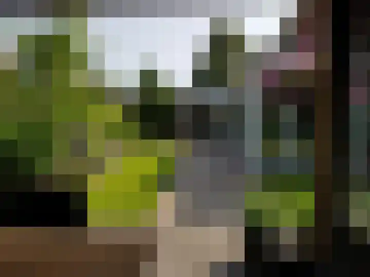 Achterweem 12 Valburg thumbnail 51