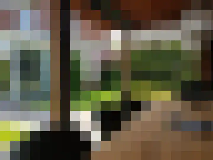 Achterweem 12 Valburg thumbnail 52