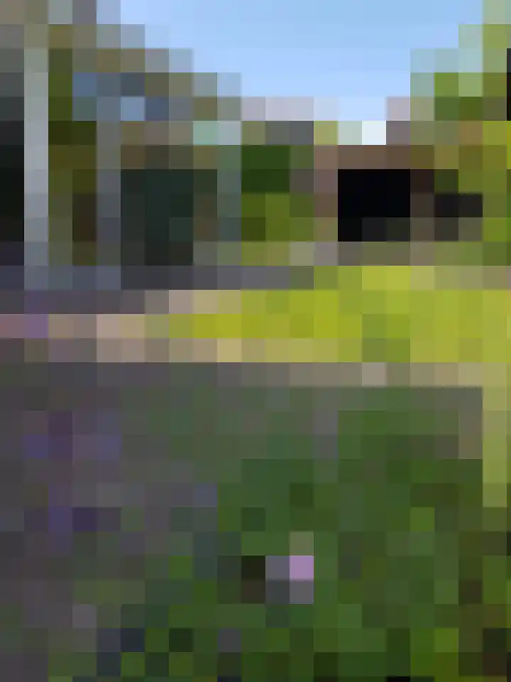 Achterweem 12 Valburg thumbnail 53