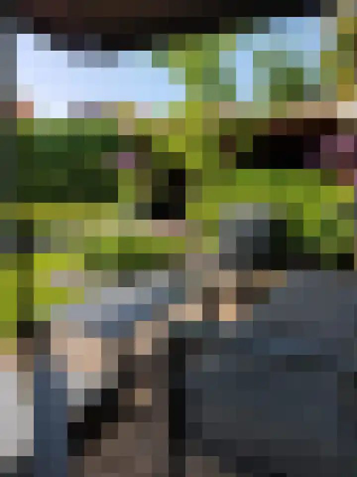 Achterweem 12 Valburg thumbnail 54