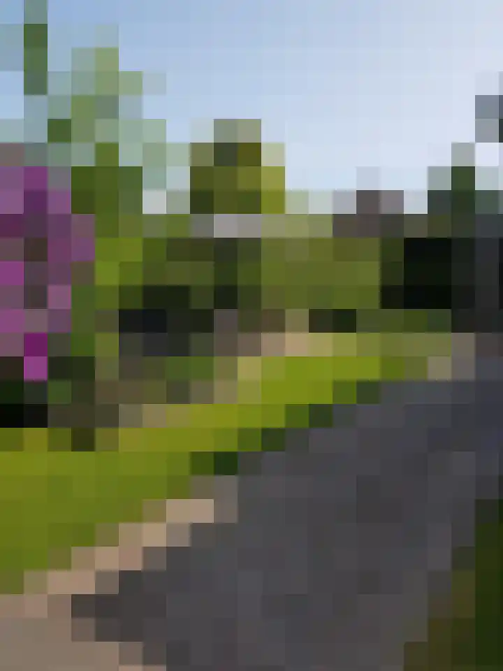 Achterweem 12 Valburg thumbnail 55