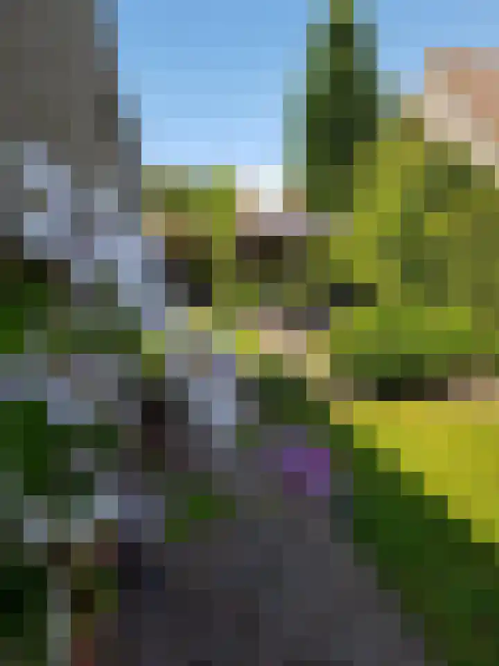 Achterweem 12 Valburg thumbnail 57