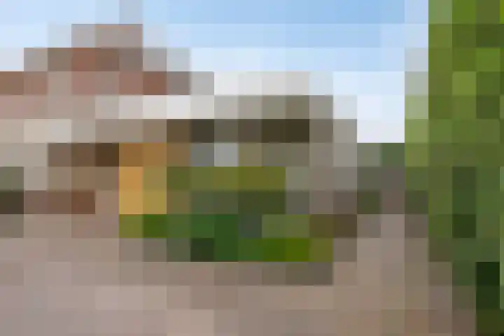 Achterweem 12 Valburg thumbnail 8
