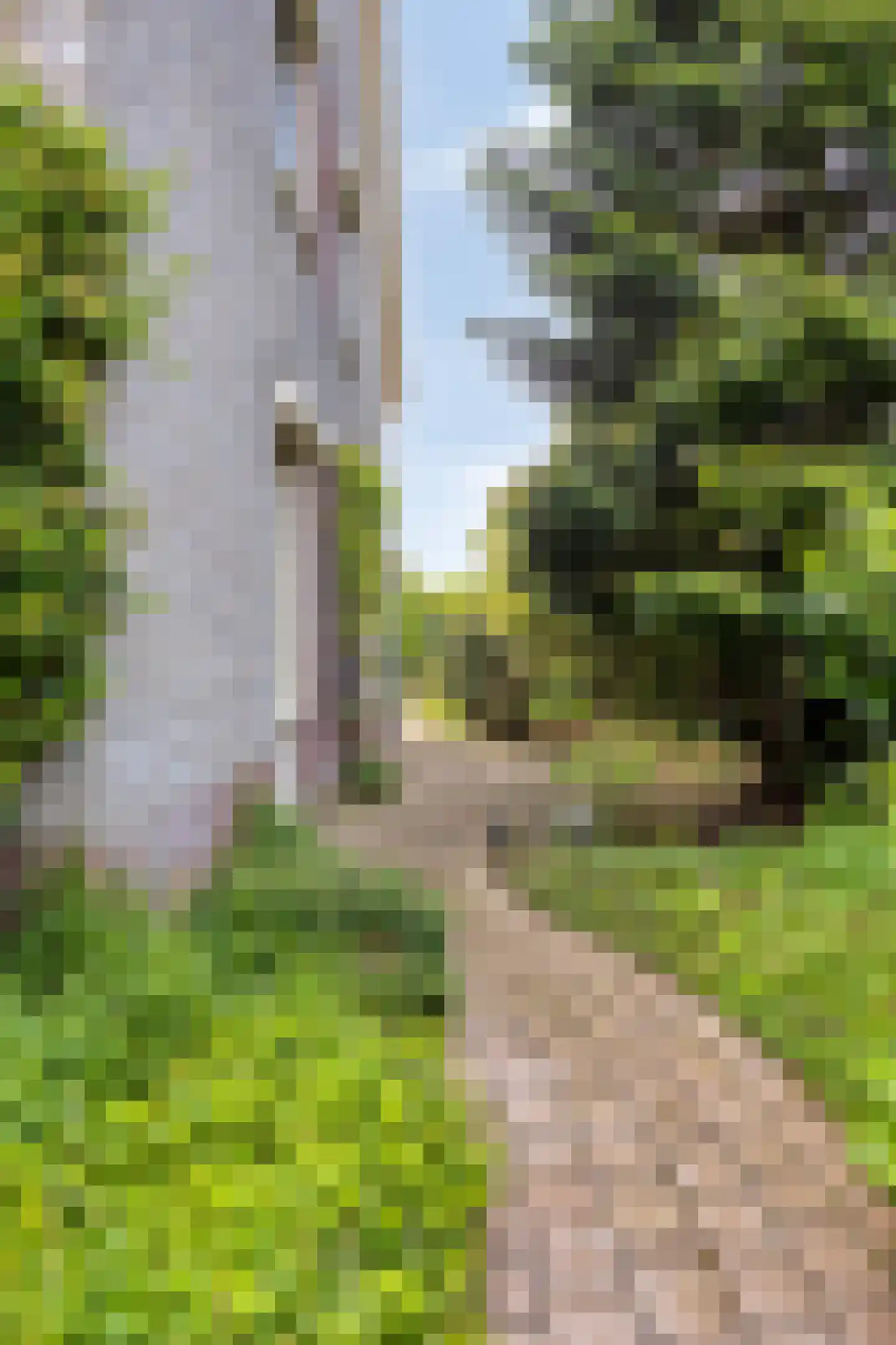 Achterweem 14 Valburg thumbnail 33