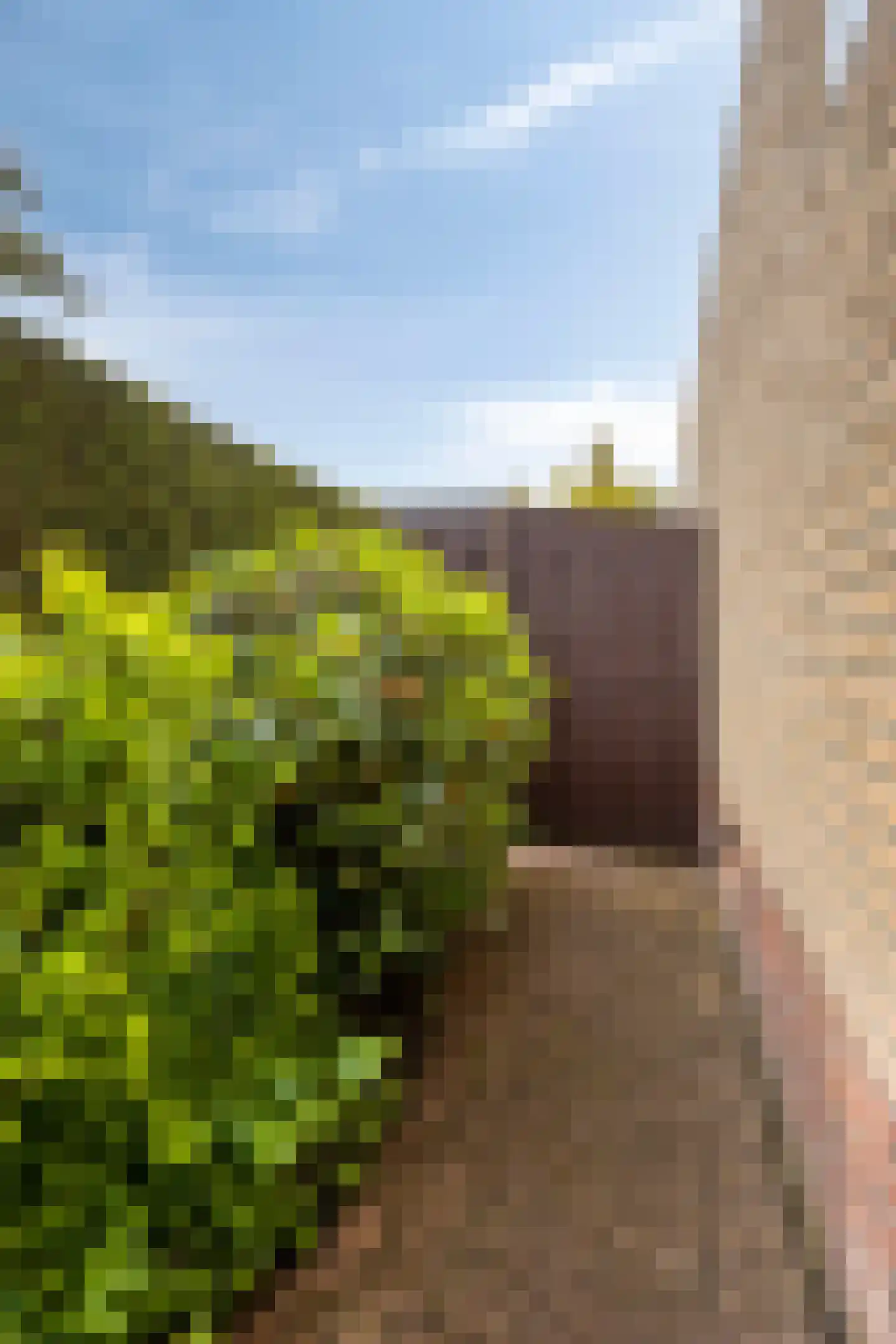 Achterweem 14 Valburg thumbnail 34
