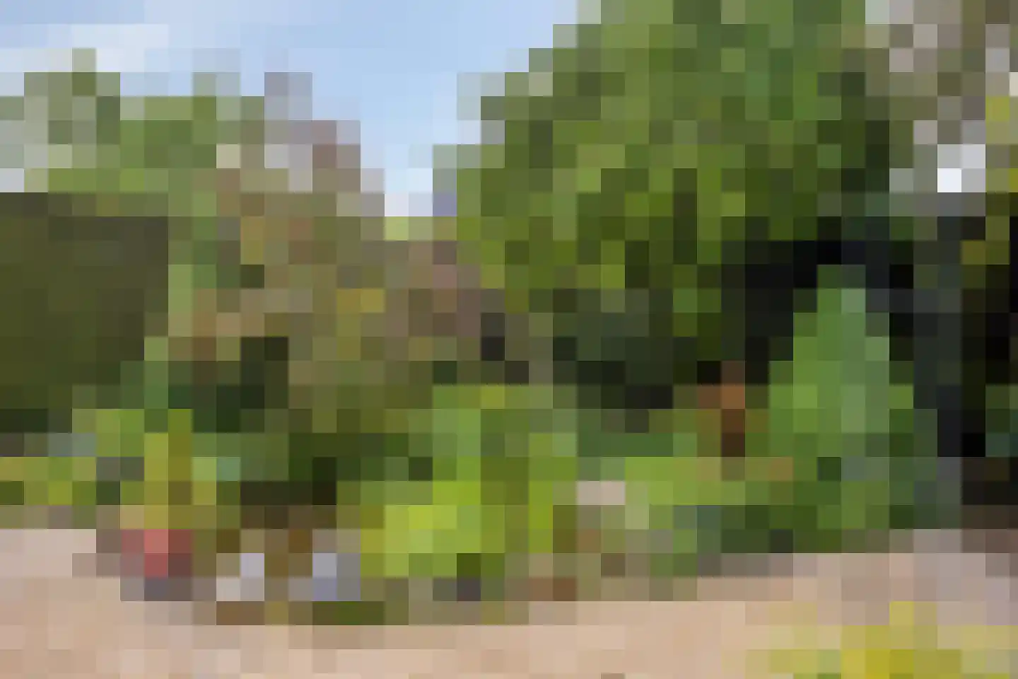 Achterweem 14 Valburg thumbnail 38