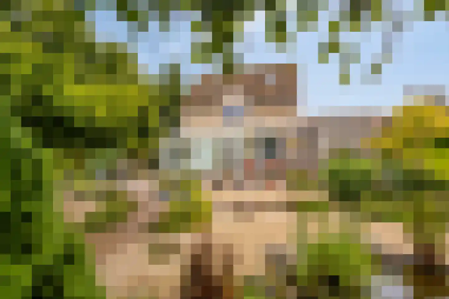 Achterweem 14 Valburg thumbnail 39